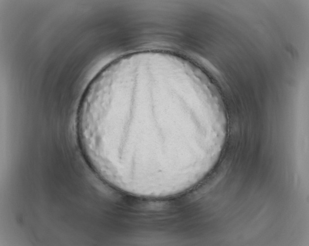 X0000113331423200910131139