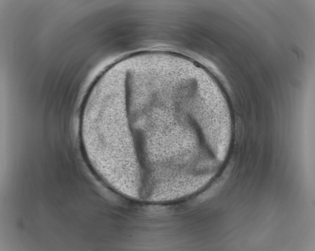 X0000113331424200910131139