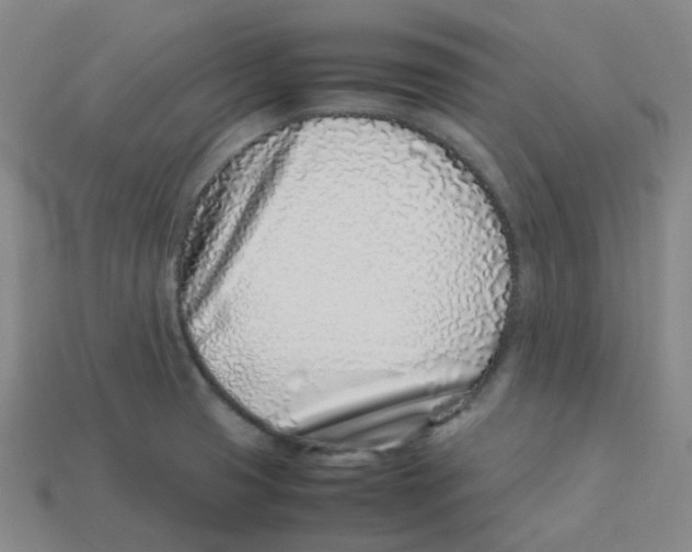 X0000113331425200910131139