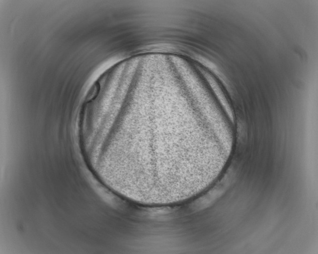 X0000113331426200910131139