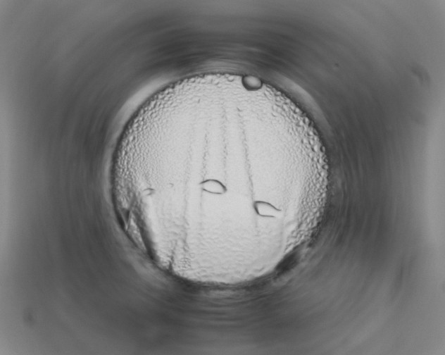 X0000113331427200910131139