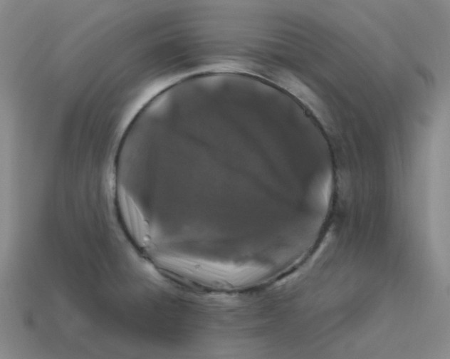 X0000113331428200910131139