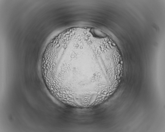 X0000113331429200910131139