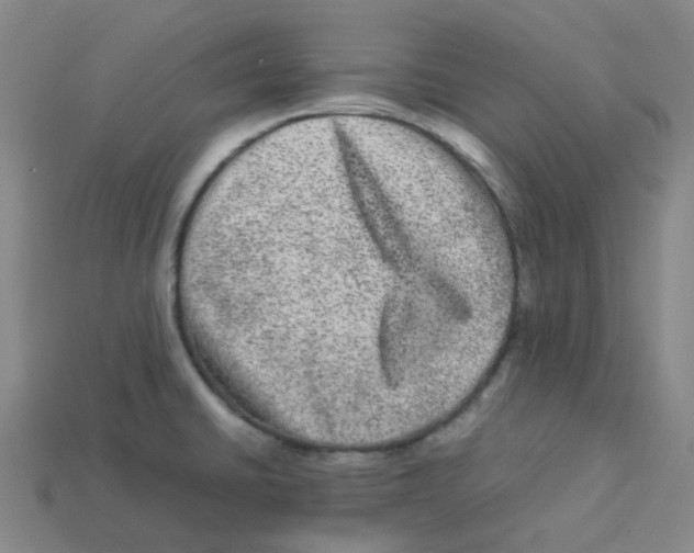 X0000113331430200910131139