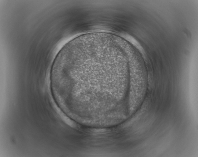 X0000113331431200910131139