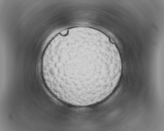 X0000113331432200910131139