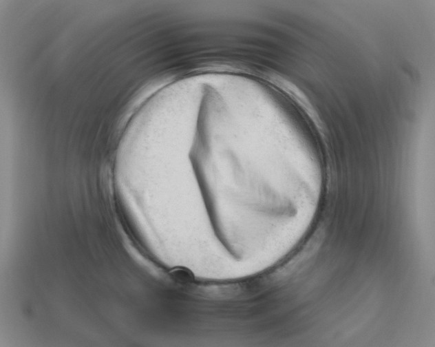X0000113331433200910131139