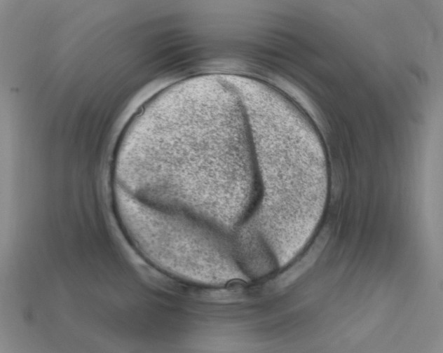 X0000113331434200910131139