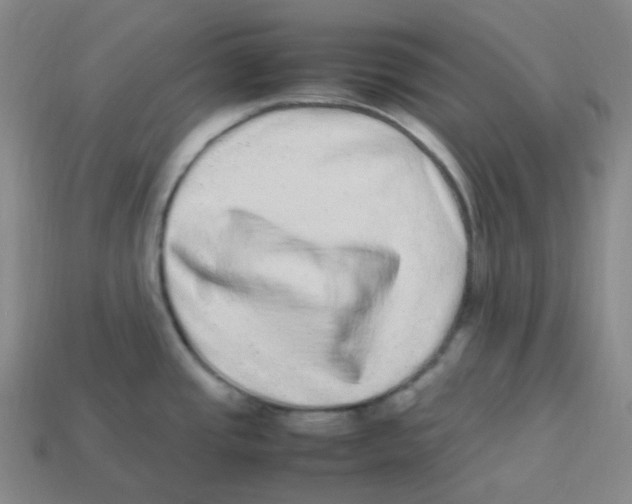 X0000113331437200910131139