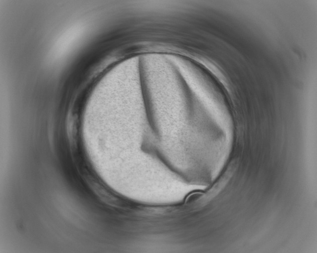 X0000113331438200910131139