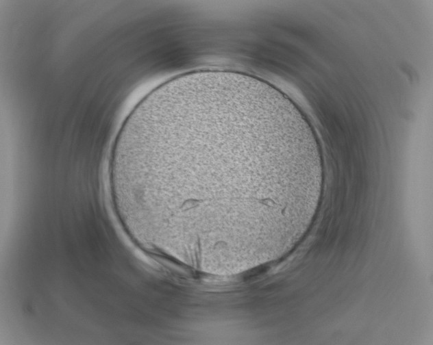 X0000113331440200910131139