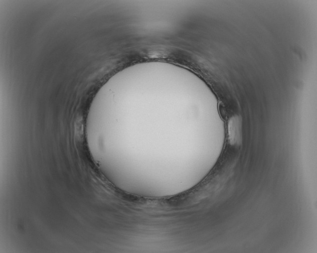 X0000113331443200910131139