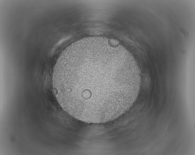 X0000113331446200910131139
