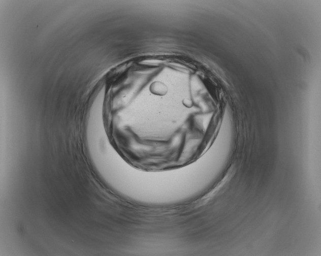 X0000113331449200910131139