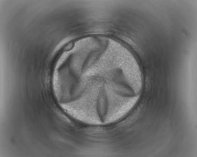 X0000113331450200910131139