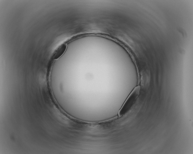 X0000113331452200910131138