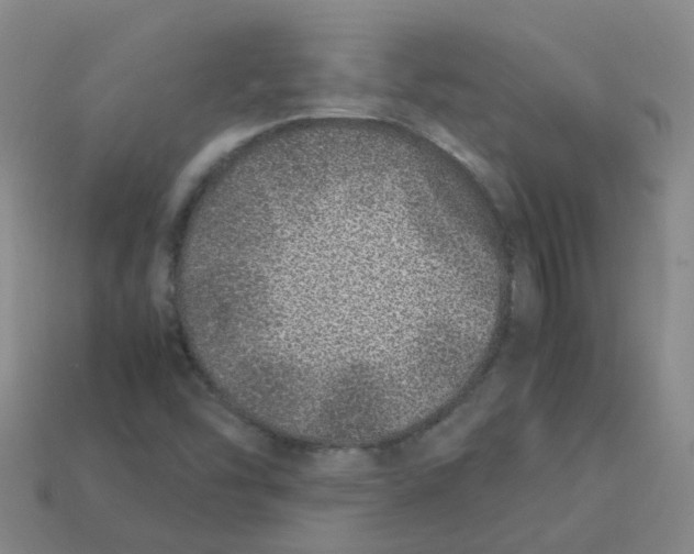 X0000113331454200910131138