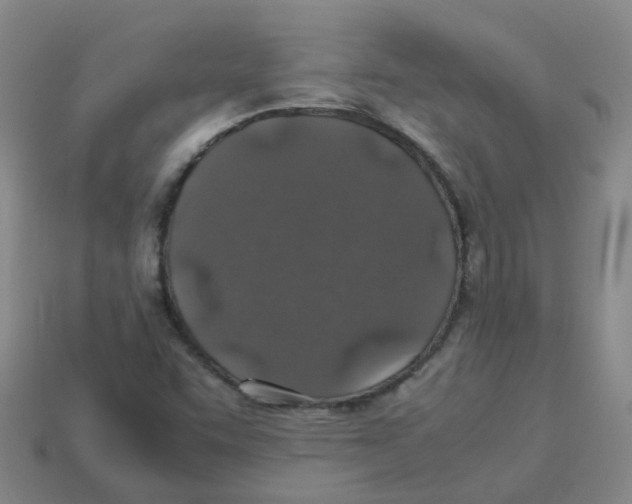 X0000113331455200910131138