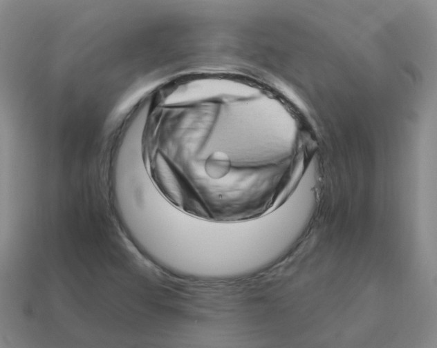 X0000113331456200910131138