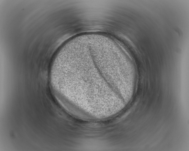 X0000113331457200910131138