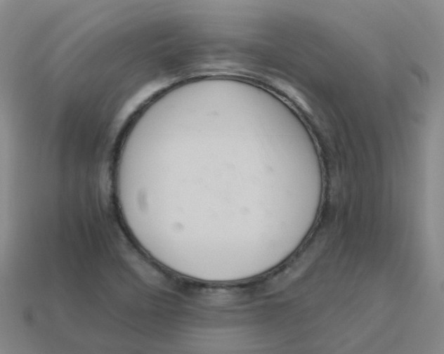 X0000113331458200910131138