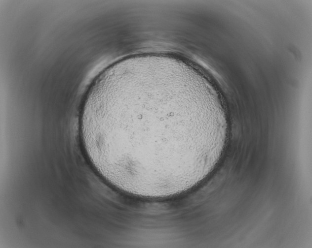 X0000113331459200910131138