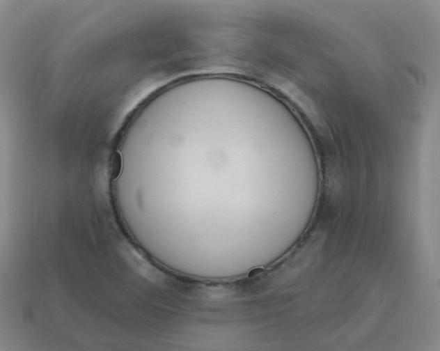 X0000113331460200910131138