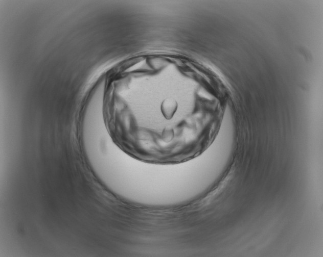 X0000113331461200910131138