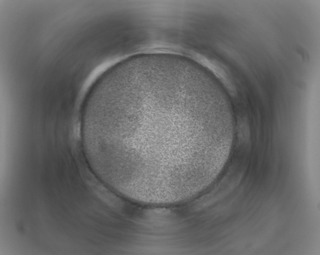 X0000113331462200910131138