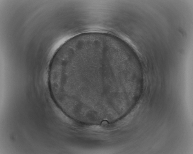 X0000113331463200910131138