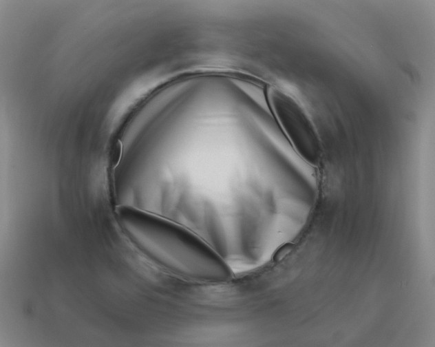X0000113331464200910131138