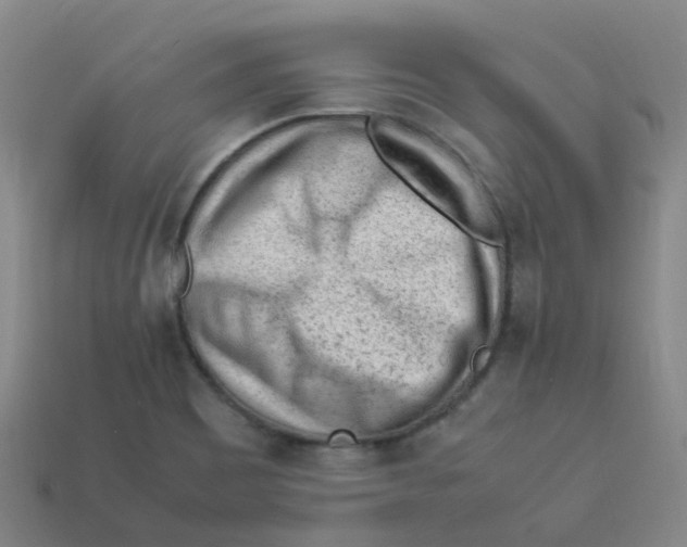 X0000113331465200910131138
