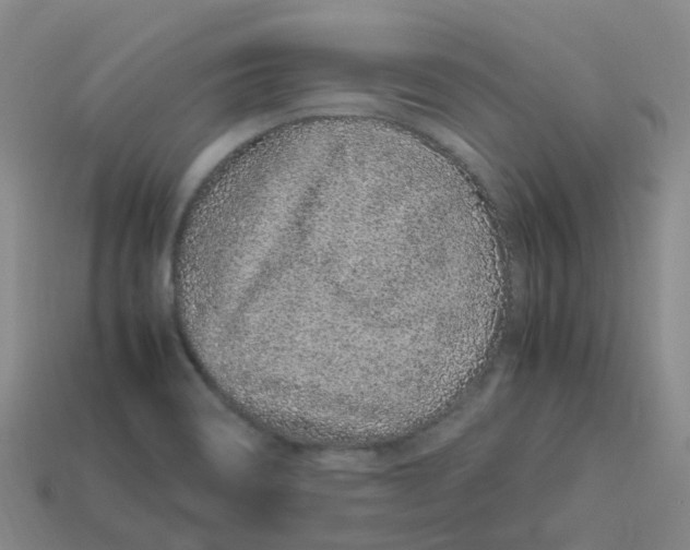 X0000113331466200910131138