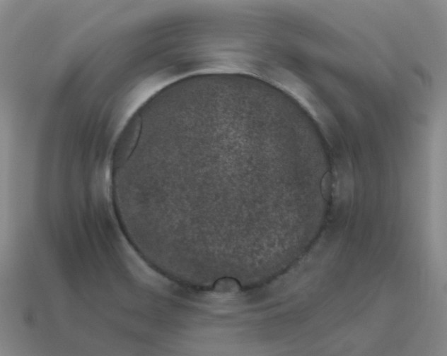 X0000113331468200910131138