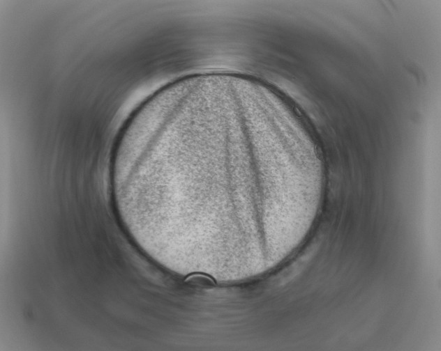 X0000113331469200910131138