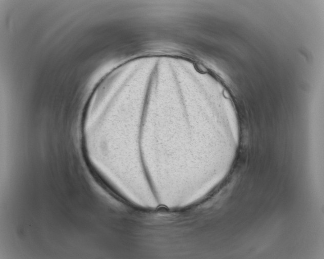 X0000113331471200910131138