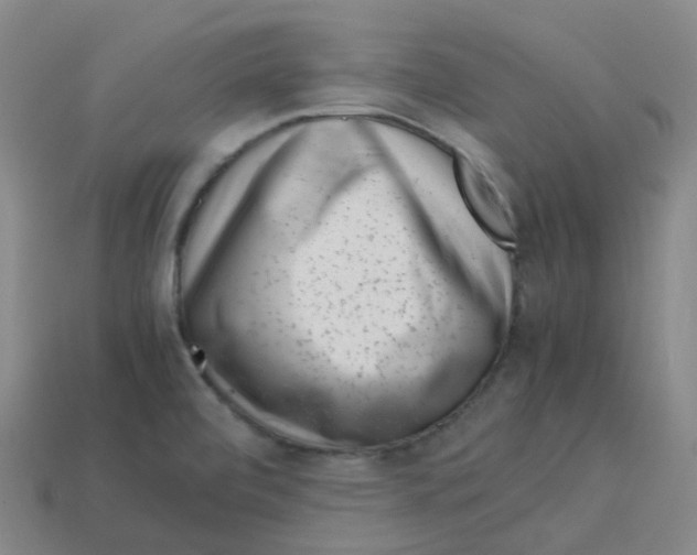 X0000113331472200910131138