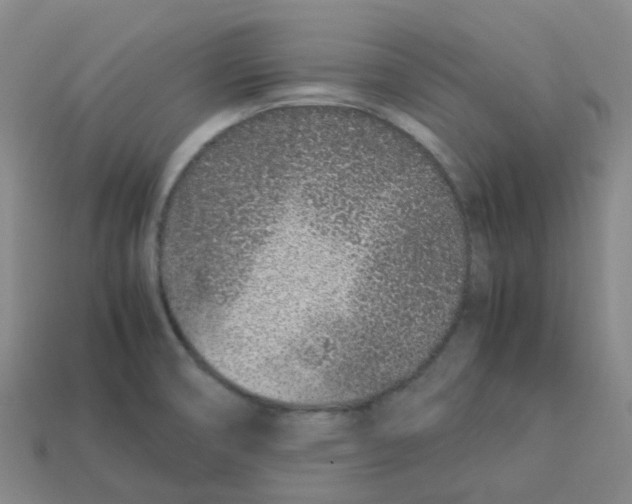 X0000113331474200910131138