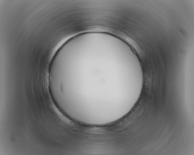 X0000113331476200910131138
