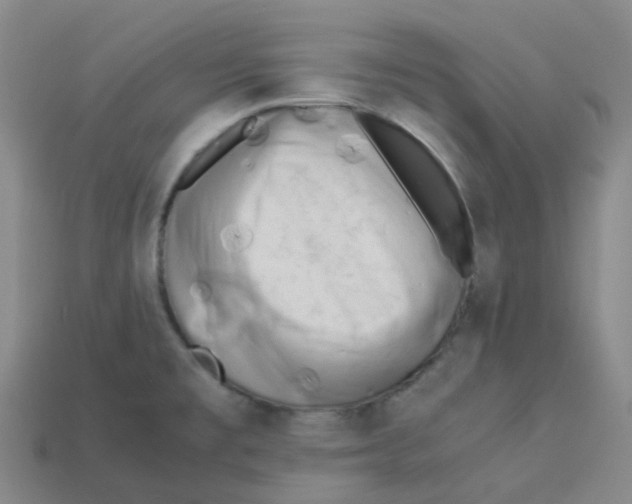 X0000113331477200910131138