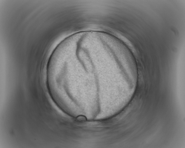 X0000113331479200910131138
