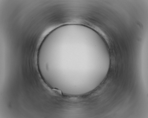 X0000113331480200910131138