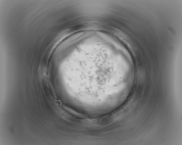 X0000113331481200910131138