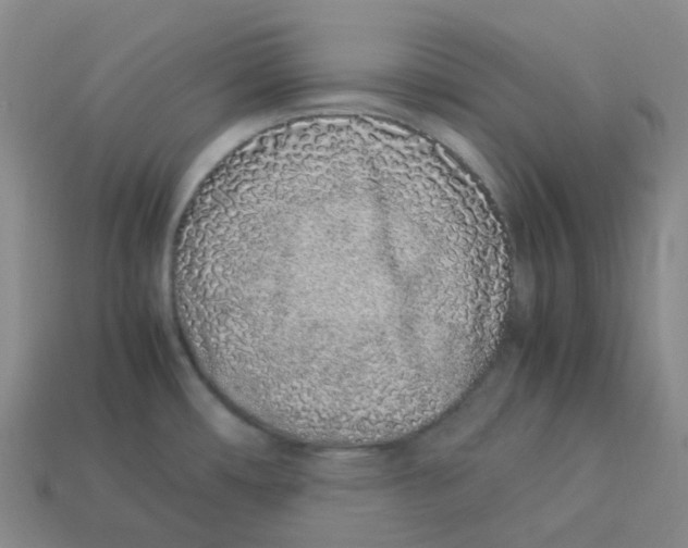 X0000113331482200910131138