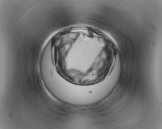 X0000113331484200910131138