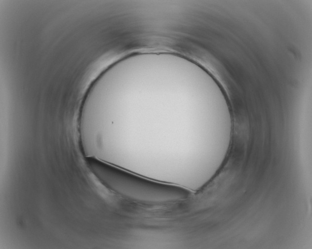 X0000113331485200910131138