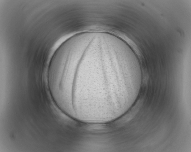 X0000113331486200910131138