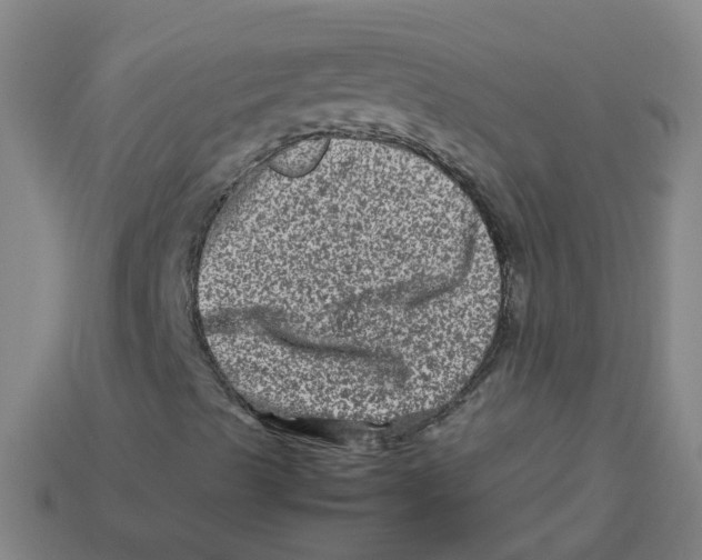 X0000113331489200910131137