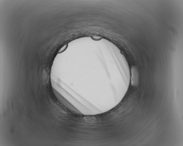 X0000113331491200910131137