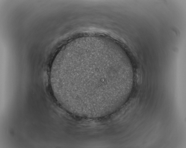 X0000113331493200910131137